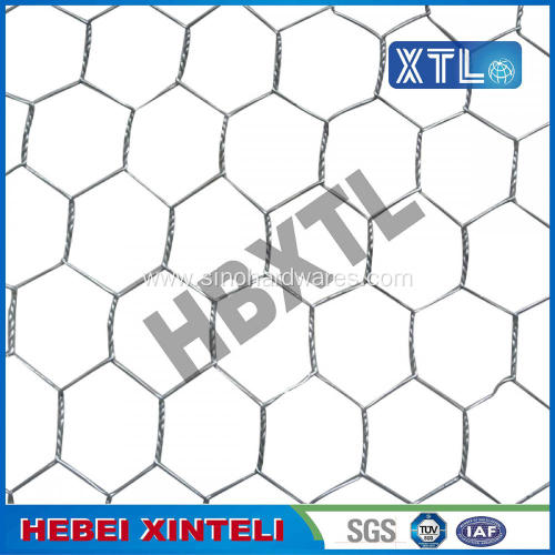 Chicken Wire Mesh for Plastering